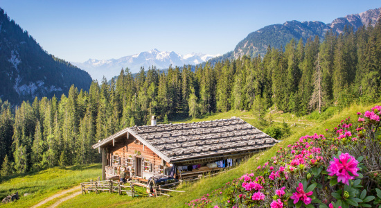 Newsletter Newsletter