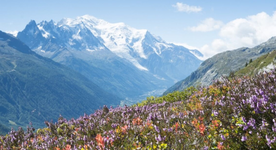 Mont Blanc Mont Blanc